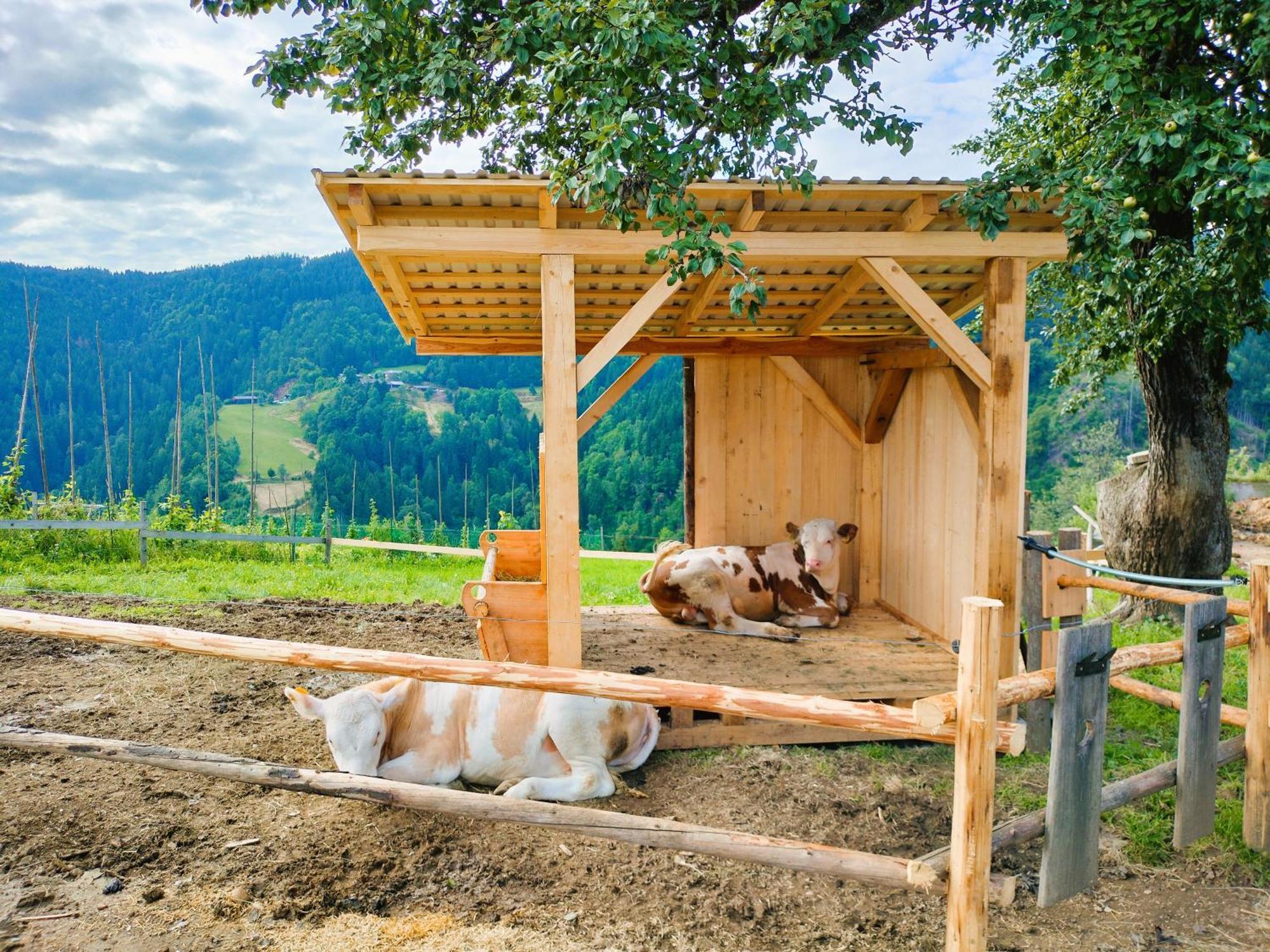 Apartments Organic Tourist Farm Gradisnik Prevalje Exterior foto