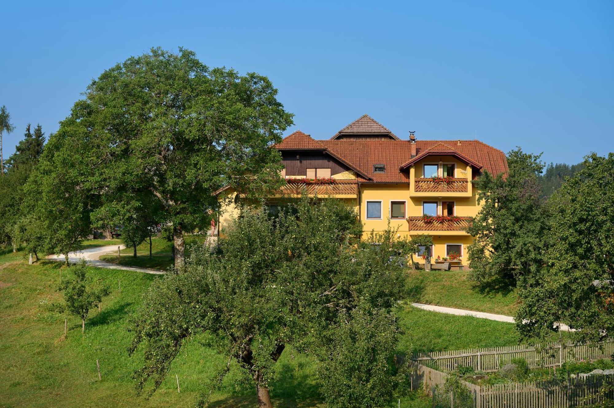 Apartments Organic Tourist Farm Gradisnik Prevalje Exterior foto
