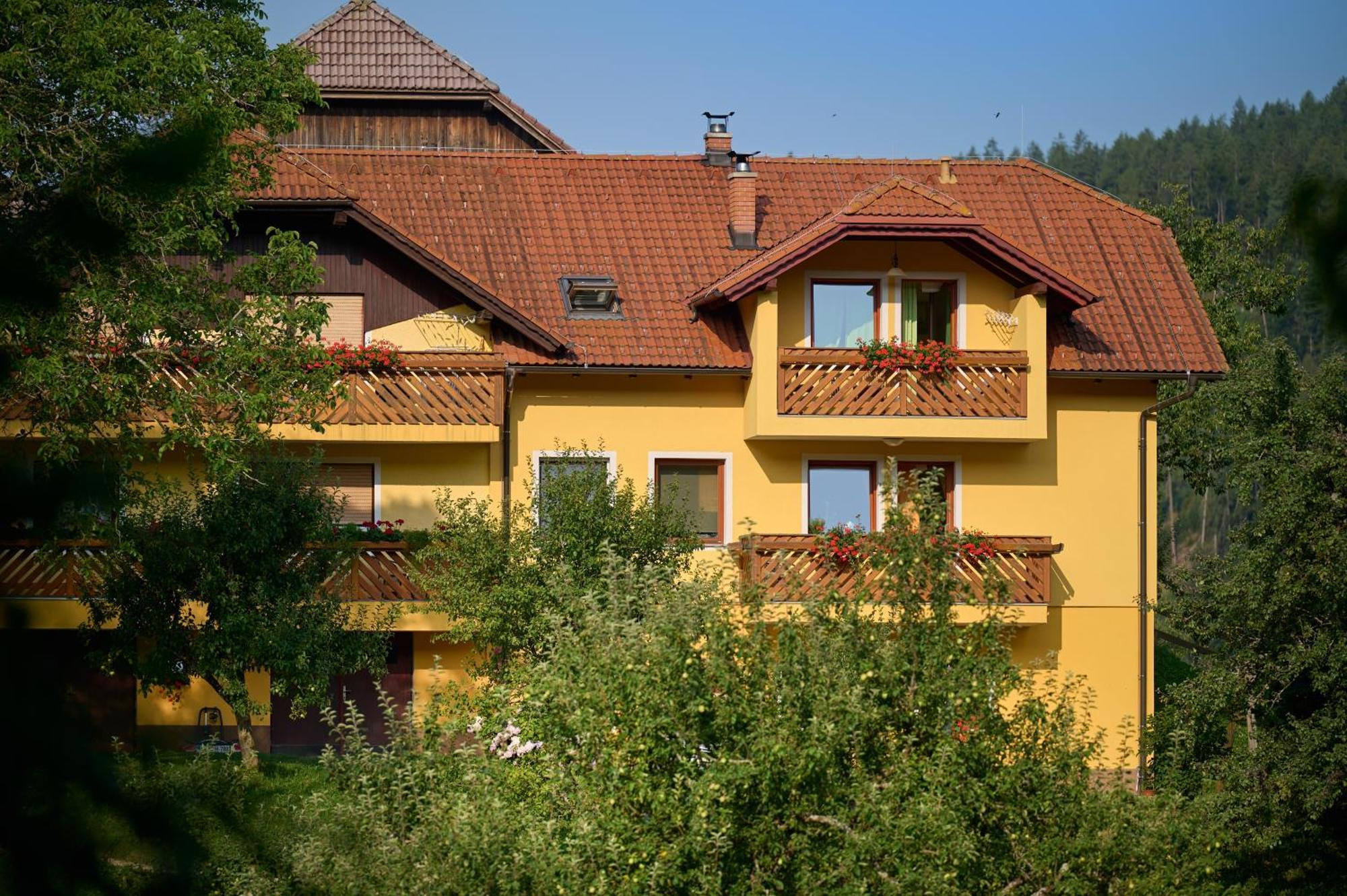 Apartments Organic Tourist Farm Gradisnik Prevalje Exterior foto
