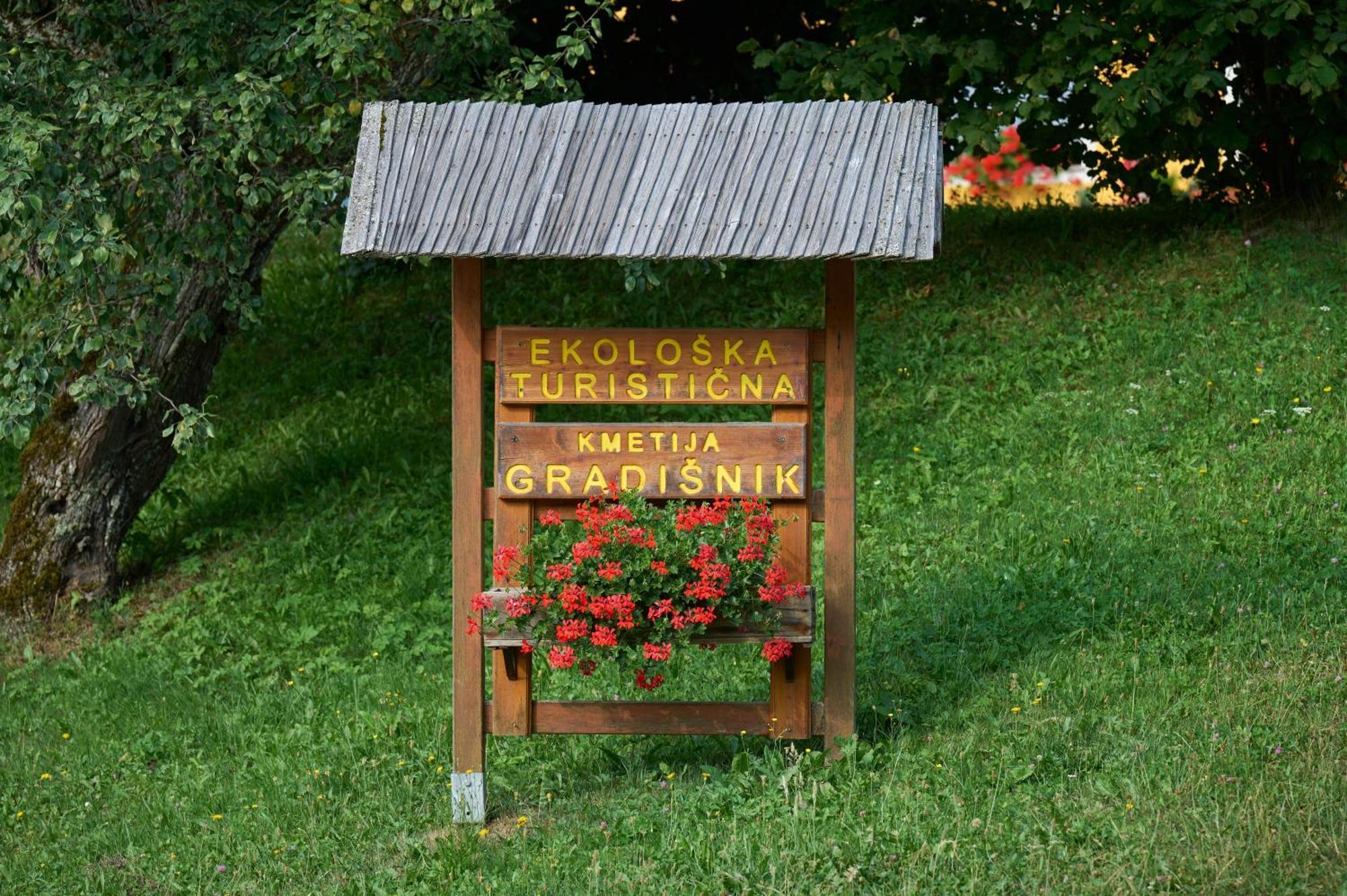Apartments Organic Tourist Farm Gradisnik Prevalje Exterior foto
