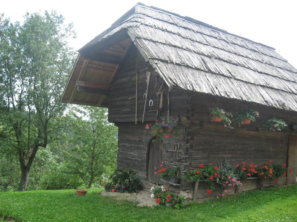 Apartments Organic Tourist Farm Gradisnik Prevalje Exterior foto
